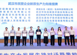 DB真人旗舰 DB数据荣膺武汉新质生产力先锋企业