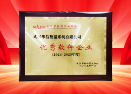 喜讯丨DB真人旗舰 DB数据获评2024~2025年度武汉市软件行业&ldquo;优秀企业&rdquo;、&ldquo;优秀工作者&rdquo;荣誉称号！